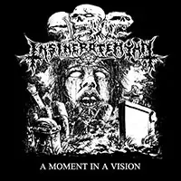 Insineratehymn - A Moment In A Vision album cover