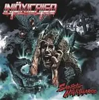 Intöxicated - Sadistic Nightmares album cover