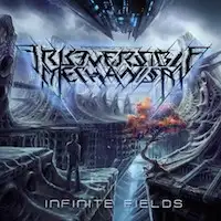 Irreversible Mechanism - Infinite Fields album cover