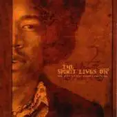 Jimi Hendrix Tribute - The Spirit Lives On; The Music Of Jimi Hendrix V.2 album cover