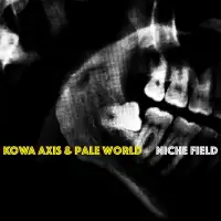 Kowä Axis & Pale World - Niche Field album cover