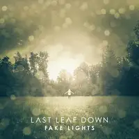 Last Leaf Down - Fake Lights album cover