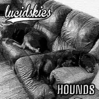 Lucid Skies - Hounds album cover