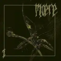 Maere - Planet Chaos album cover