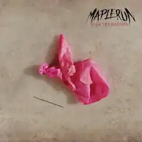 Maplerun - Partykrasher album cover