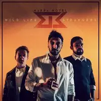 Marfa Motel - Wild Life Strangers album cover