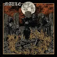 Maule - Maule album cover
