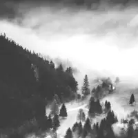 Mezereum - II album cover