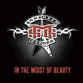 Michael Schenker Group - In The Midst Of Beauty album cover
