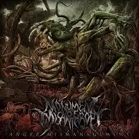 Monument Of Misanthropy - Anger Mismanagement album cover