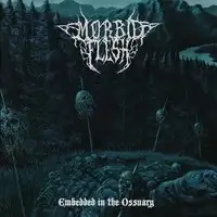 Morbid Flesh - Embedded In The Ossuary album cover