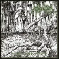 Mycelium - Scream Bloody Spore album cover