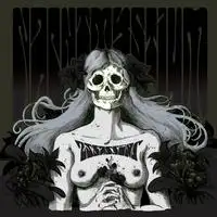 Nachtmystuim - Assassins: Black Meddle Pt. 1 album cover