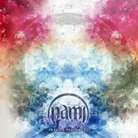 Nami - Fragile Alignments album cover