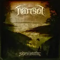 Nàttsòl - Stemning album cover