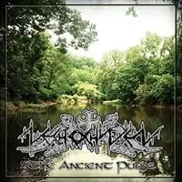 Nechochwen - The Ancient Pulse album cover