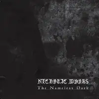 Necrotic Woods - The Nameless Dark album cover