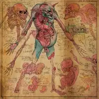 Nekrogoblikon - The Fundamental Slimes and Humours album cover
