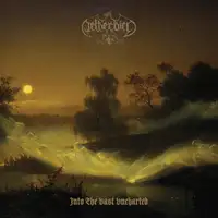 Netherbird - Into the Vast Uncharted album cover