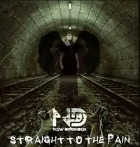 New Disorder - Straight To The Pain album cover