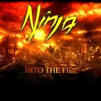 Ninja - Into the Fire album cover