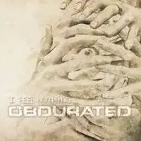 Obdurated - I Feel Nothing album cover