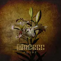 Pačess - Poupě album cover