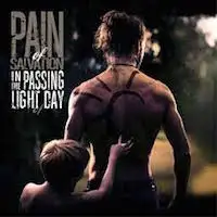 Pain Of Salvation - In The Passing Light Of Day album cover