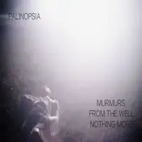 Palinopsia - Murmurs From The Well Nothing More album cover