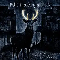 Pattern-Seeking Animals - Only Passing Through album cover