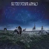 Pattern-Seeking Animals - Pattern-Seeking Animals album cover