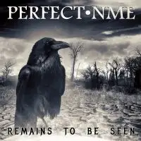 Perfect NME - Remains to be Seen album cover