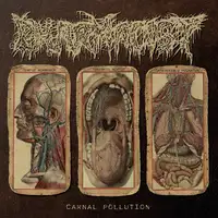 Pharmacist - Carnal Pollution album cover