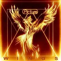 Picture - Wings album cover