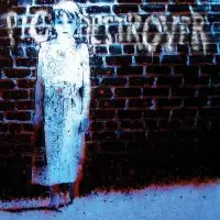 Pig Destroyer - Book Burner album cover