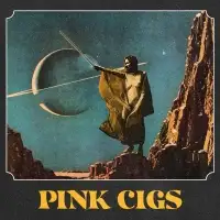 Pink Cigs - Pink Cigs album cover