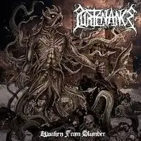 Purtenance - Awaken From Slumber album cover