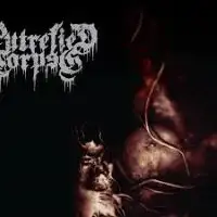 Putrefied Corpse - Left to Rot album cover