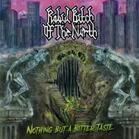 Rabid Bitch Of The North - Nothing But A Bitter Taste album cover