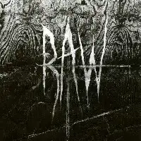 Raw - From The First Glass To The Grave album cover