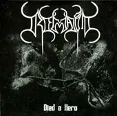 Remain - Died a Hero album cover