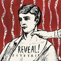 Reveal - Flystrips album cover