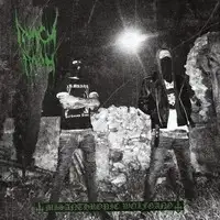 Ruach Raah - Misanthropic Wolfgang album cover