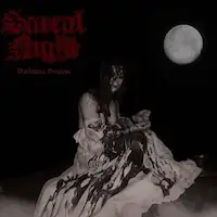 Sacral Night - Darkness Process album cover