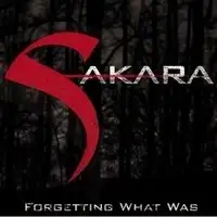 Sakara - Forgetting What Was album cover