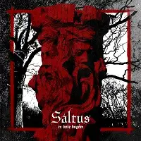 Saltus - W imię bogów album cover