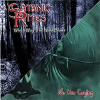 Satanic Rites - Which Way The Wind Blows / No Use Crying album cover