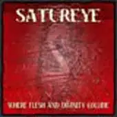 Satureye - Where Flesh And Divinity Collide album cover