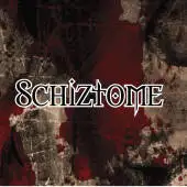 Schiztome - The Art Of Dying album cover