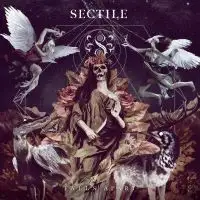 Sectile - Falls Apart album cover